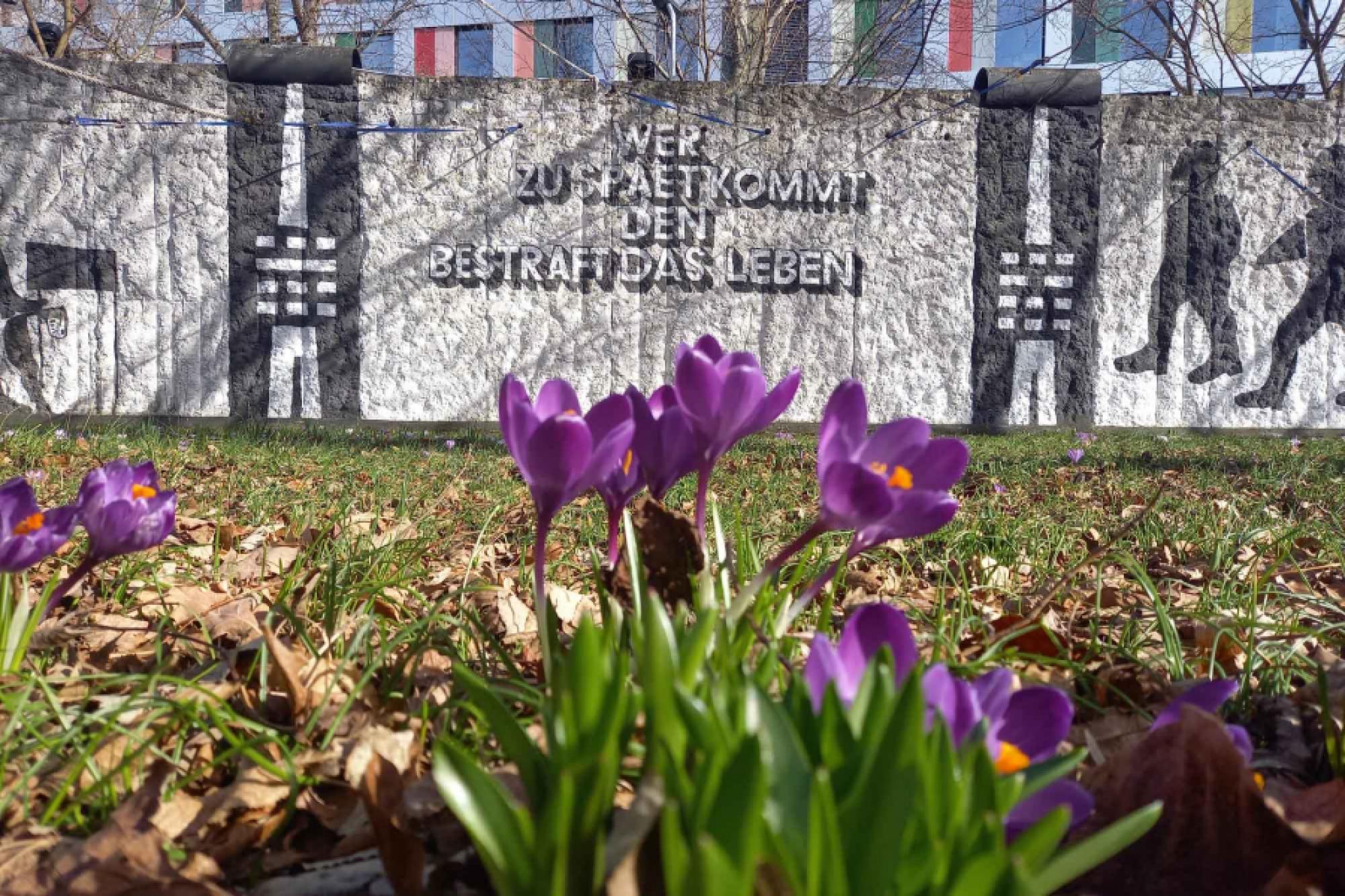 Parlament der Bäume