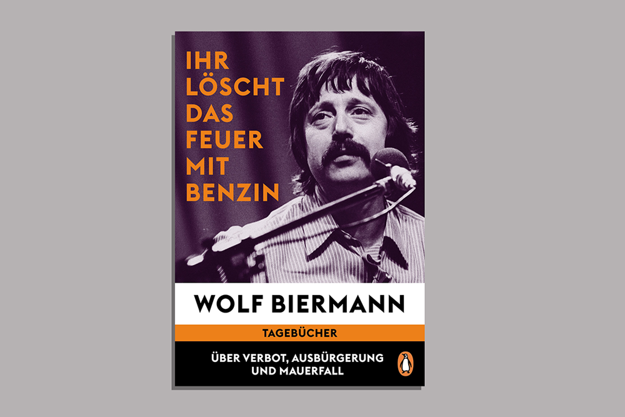 Das Cover des Buchs „Ihr löscht das Feuer mit Benzin“ Die Tagebücher Wolf Biermanns